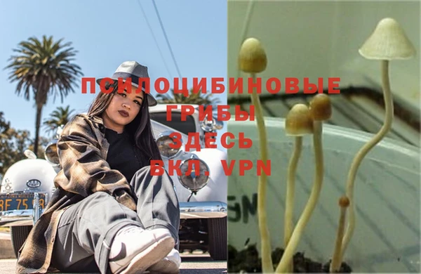 скорость Белокуриха