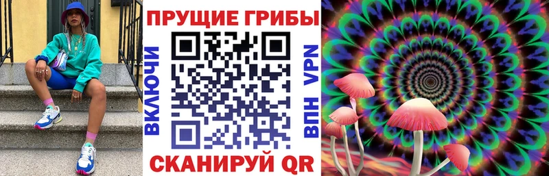 Галлюциногенные грибы мухоморы  где купить наркоту  Кодинск 